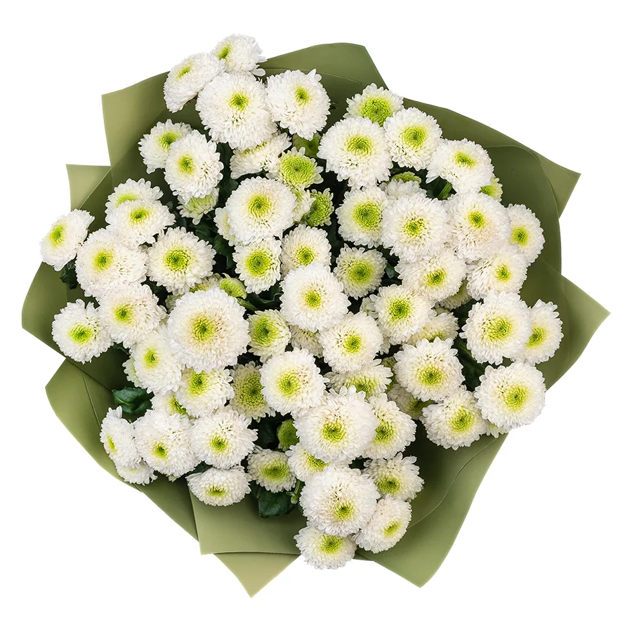 Букет из 11 белых кустовых хризантем Сантини Маверик Вайт (02642)