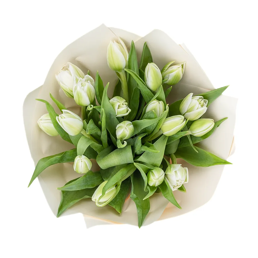 Букет из 17 белых махровых тюльпанов Вайт Херт (02465)