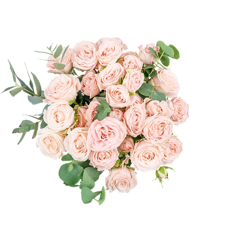 Букет из 7 розовых кустовых роз Бомбастик (01251)