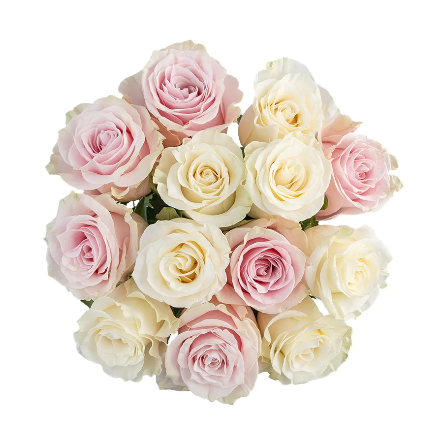 Букет из 13 белых и розовых роз Мондиаль и Пинк Мондиаль (02234)
