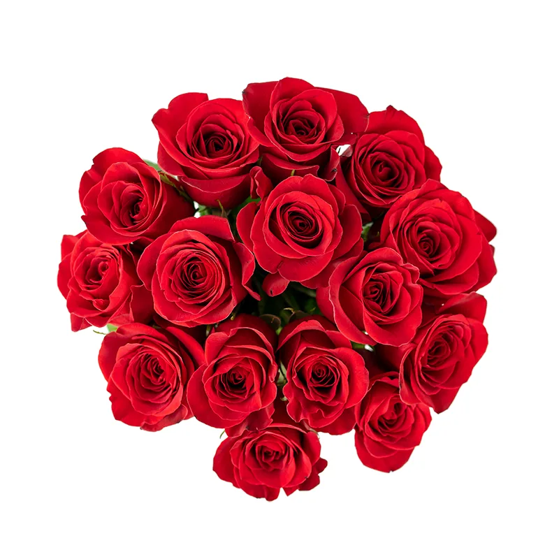 Букет из 15 красных роз Фридом (01147)