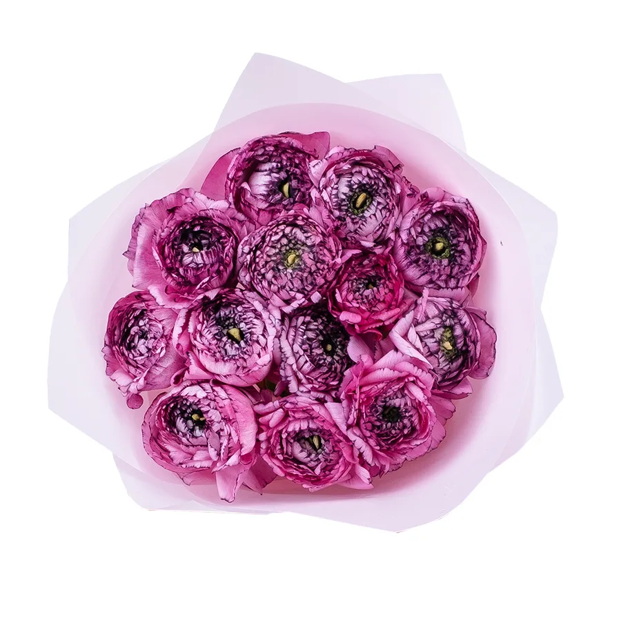 Букет из 13 розовых с фиолетовым ранункулюсов Элеганс Стриато Роза (02171)