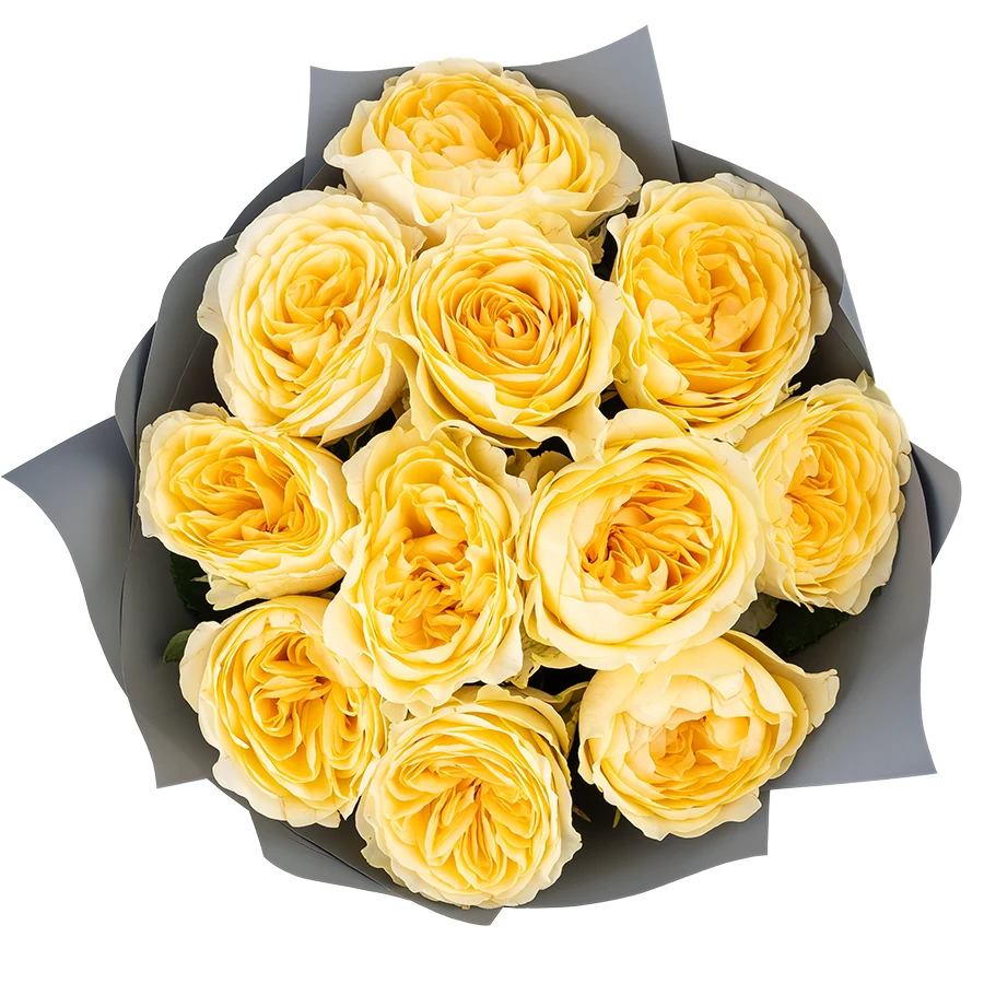 Букет из 11 жёлтых садовых роз Каталина (01743)