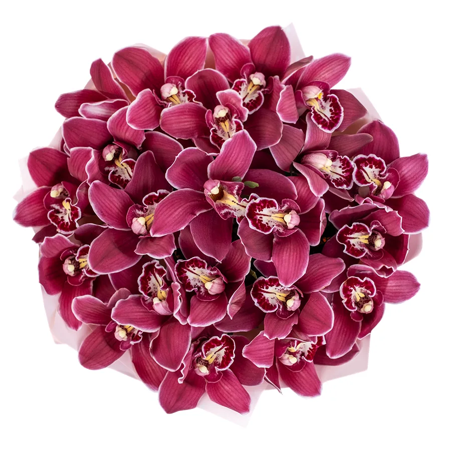 Букет из 21 красной орхидеи Цимбидиум (02497)