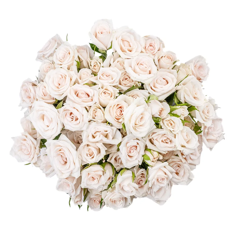 Букет из 13 бело-кремовых кустовых роз Роял Порцелина (02358)