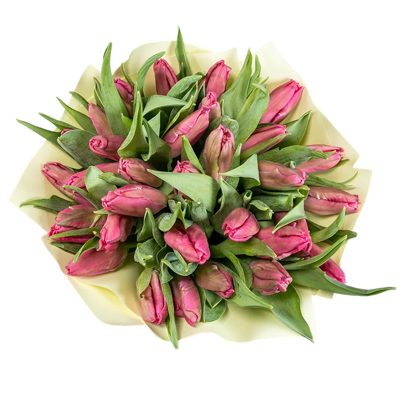 Букет из 31 розового попугайного тюльпана Марвел Пэррот (02063)