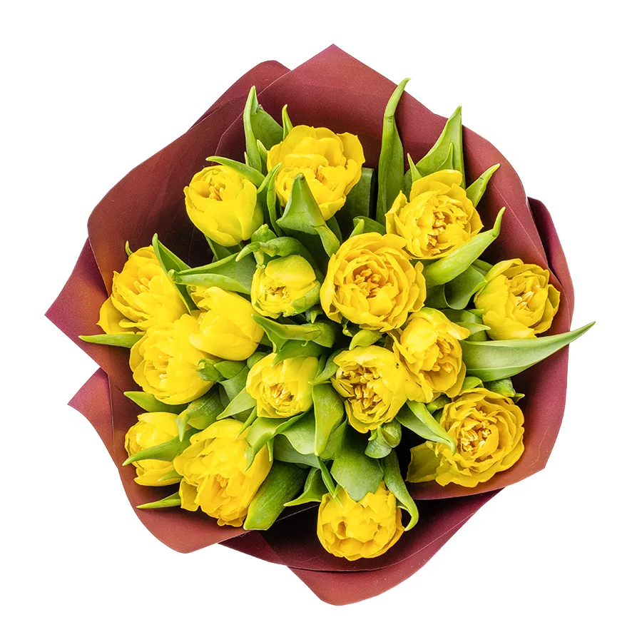 Букет из 17 желтых махровых тюльпанов Хоумран (02291)