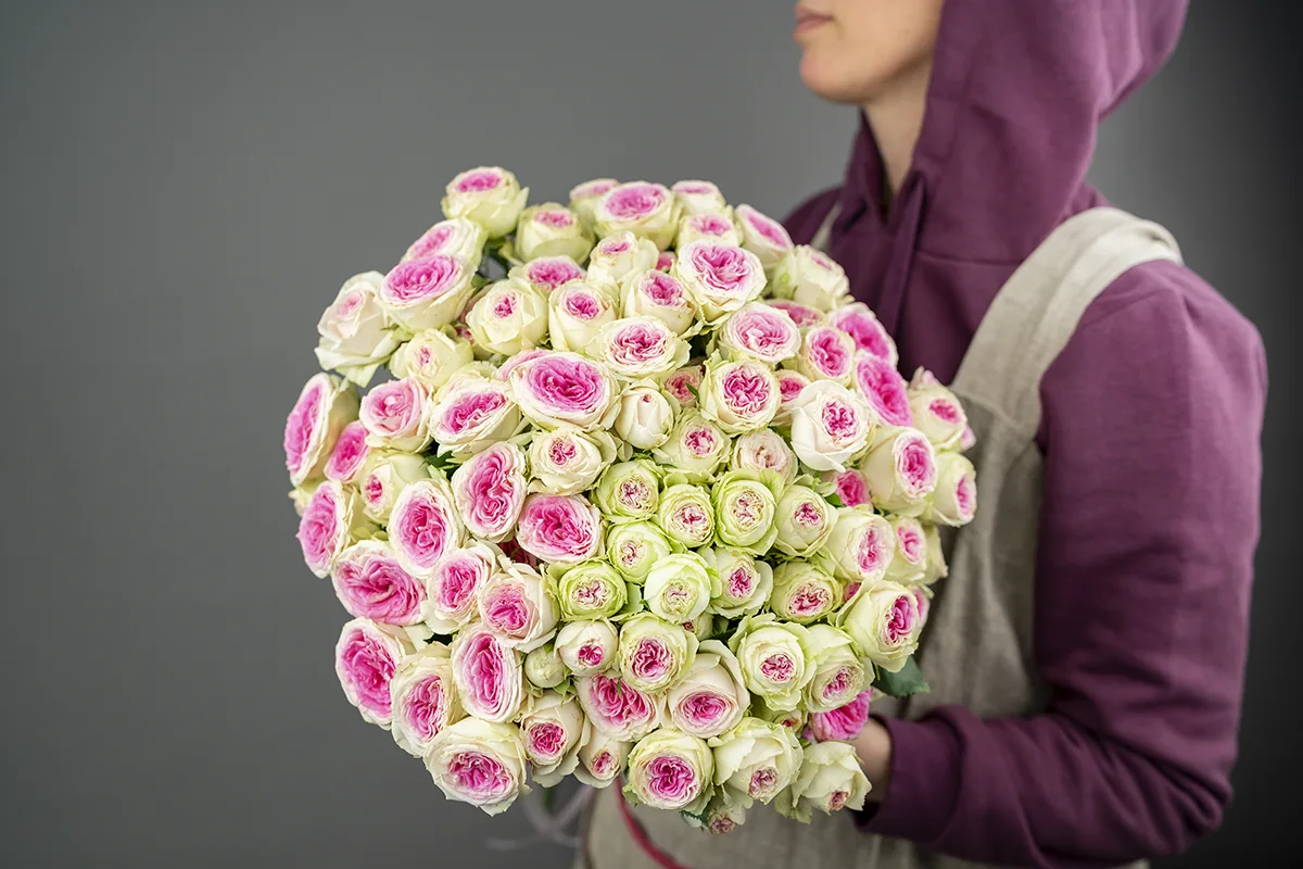Букет из 17 розовых кустовых пионовидных роз Джелато (01129)