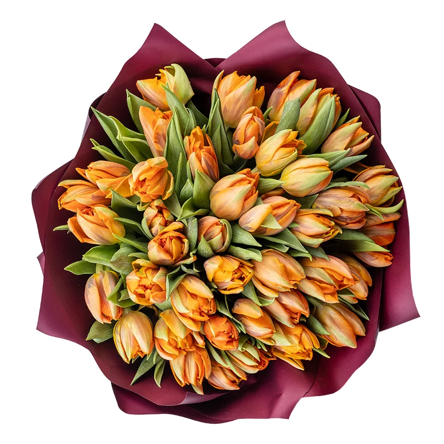Букет из 39 оранжевых махровых тюльпанов Оранж Принцесс (02240)