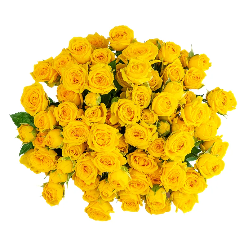 Букет из 17 жёлтых кустовых роз Йелоу Бейб (01498)