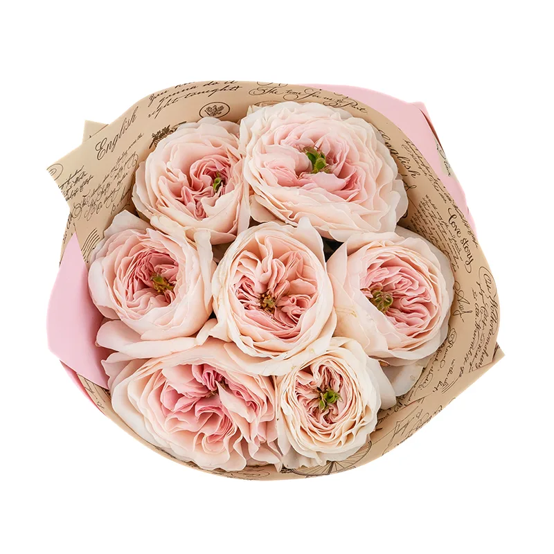 Букет из 7 нежно-розовых садовых роз Дэвида Остина Чарити (01510)