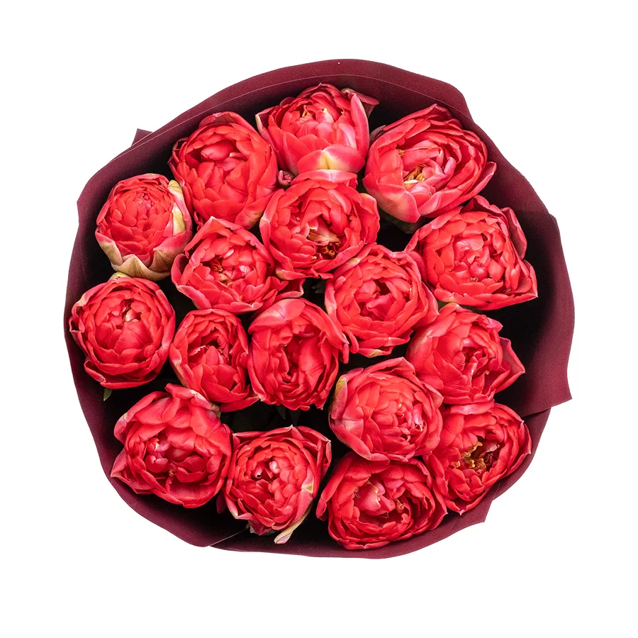 Букет из 17 красных махровых тюльпанов Памплона (02411)