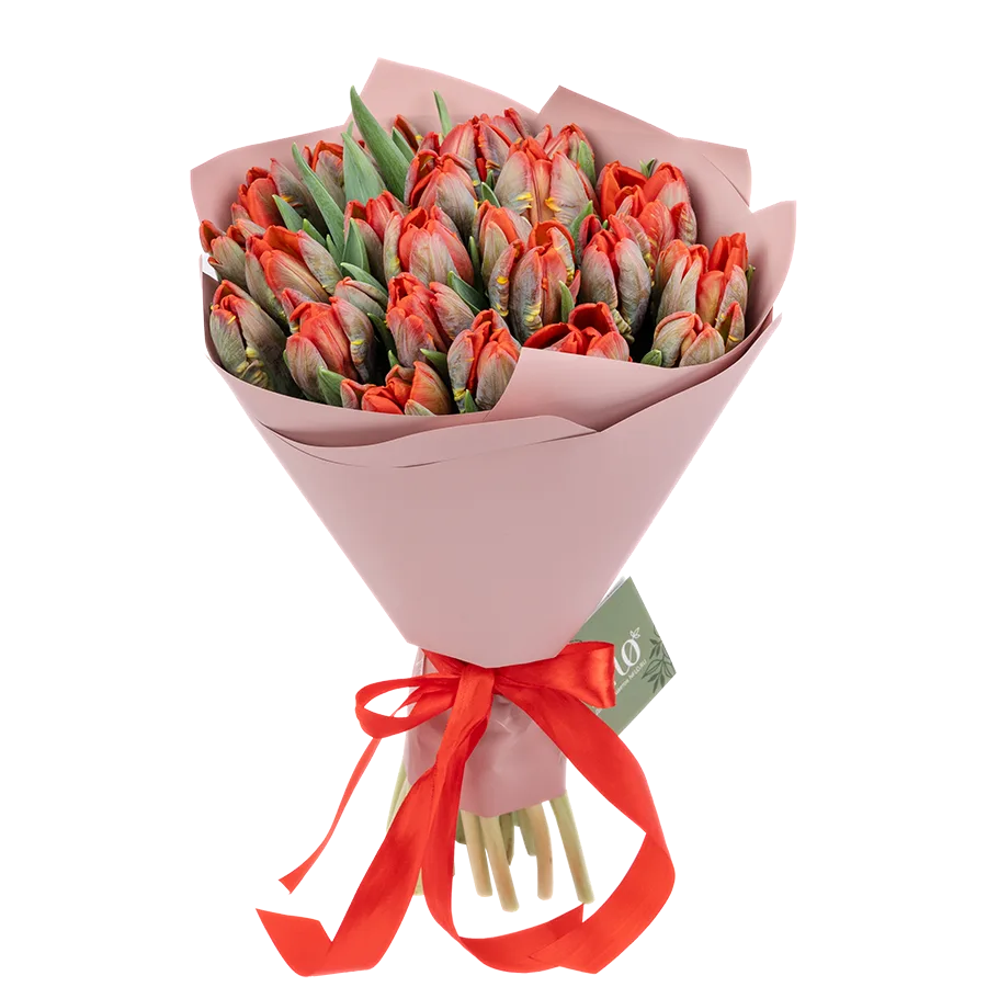Букет из 29 красных попугайных тюльпанов Пэррот Рококо (01986)