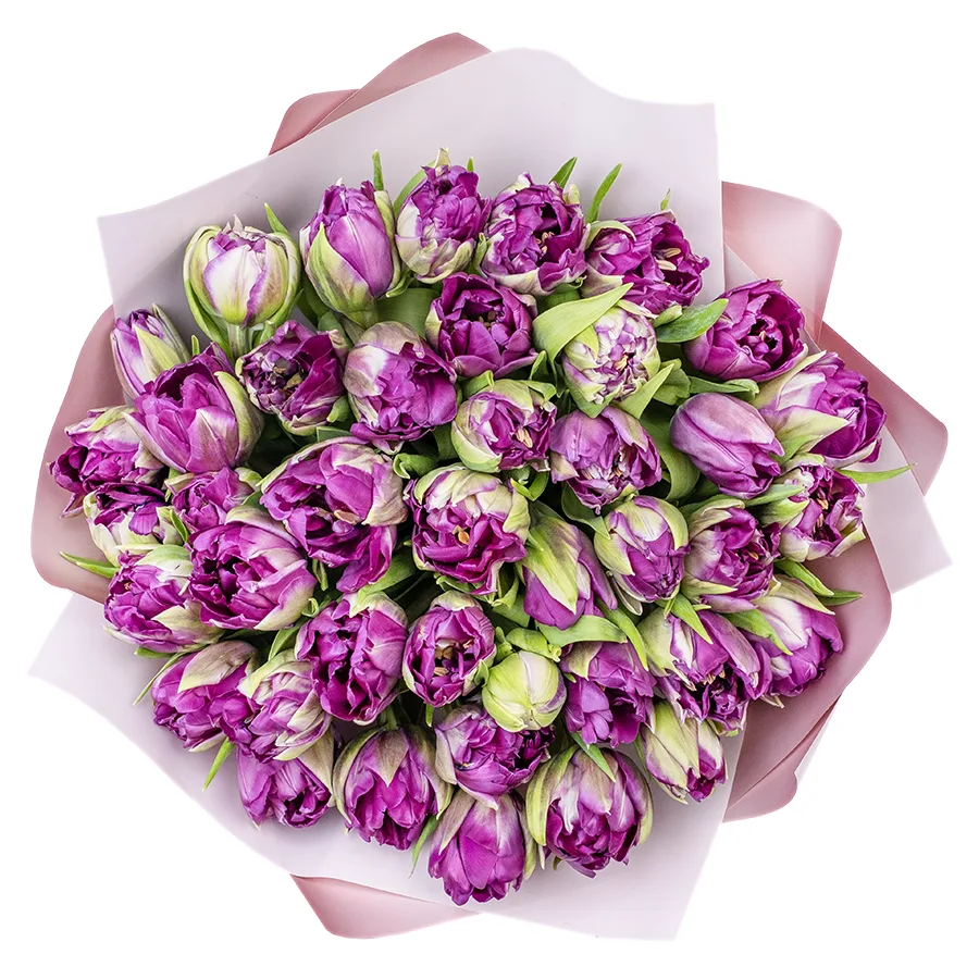 Букет из 43 фиолетовых пионовидных тюльпанов Пурпл Пеони (02313)