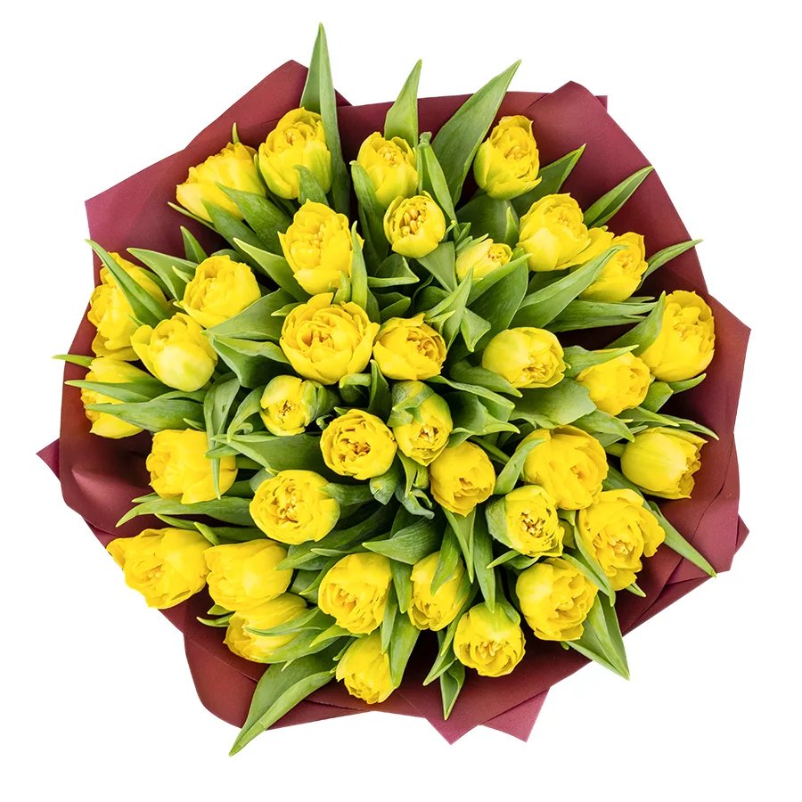 Букет из 37 желтых махровых тюльпанов Хоумран (02281)