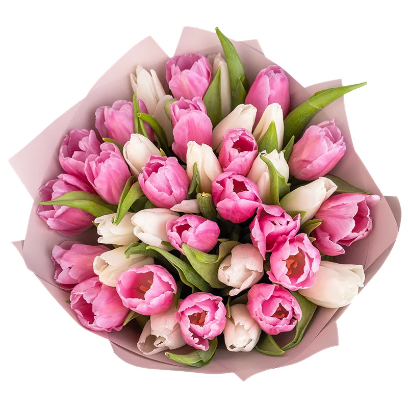 Букет из 35 белых и розовых тюльпанов (02030)