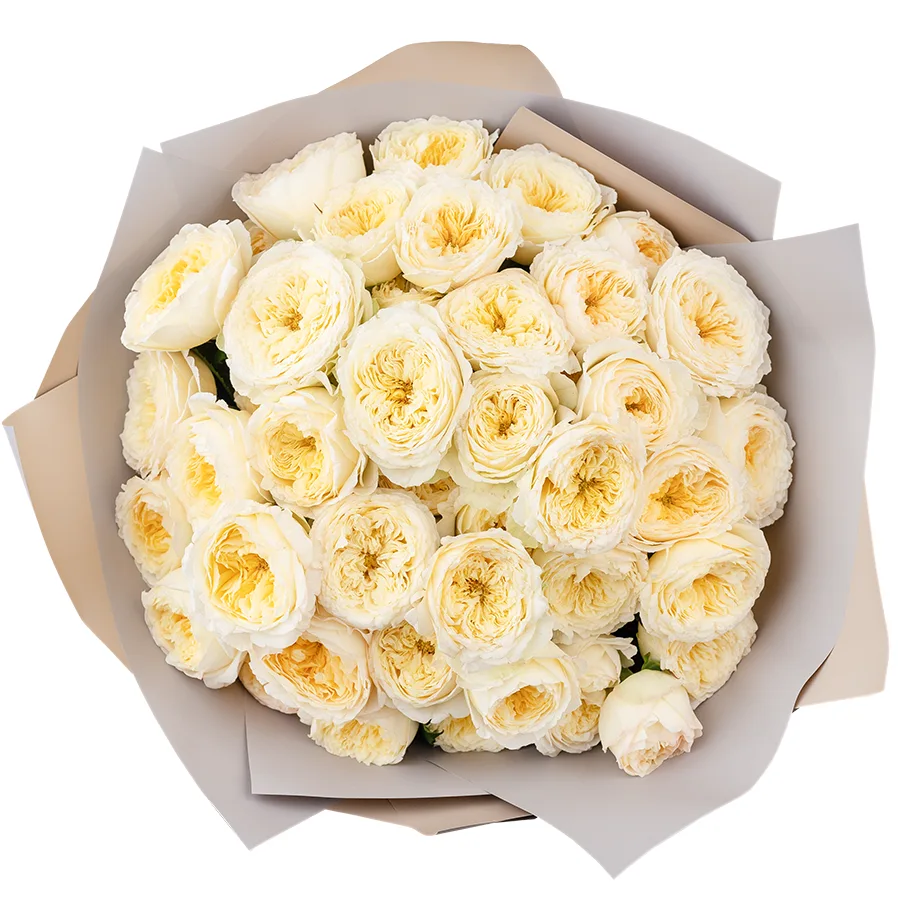 Букет из 15 светло-кремовых кустовых пионовидных роз Роял Парк (02736)