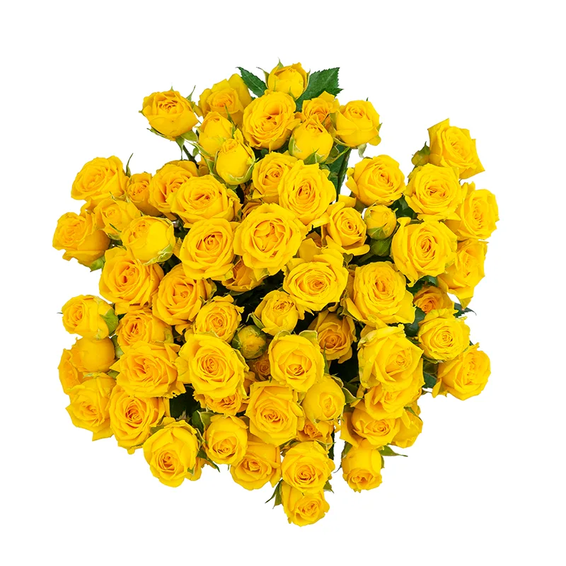 Букет из 15 жёлтых кустовых роз Йелоу Бейб (01499)