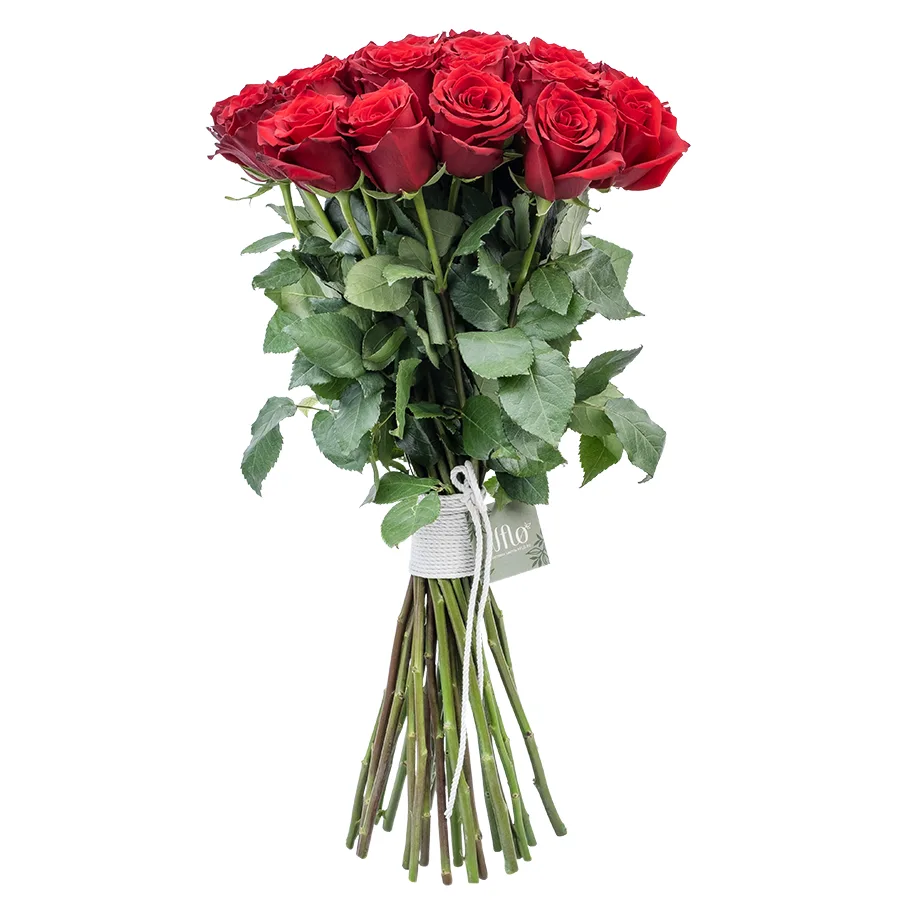 Букет из 27 тёмно-красных роз Эксплорер (02211)