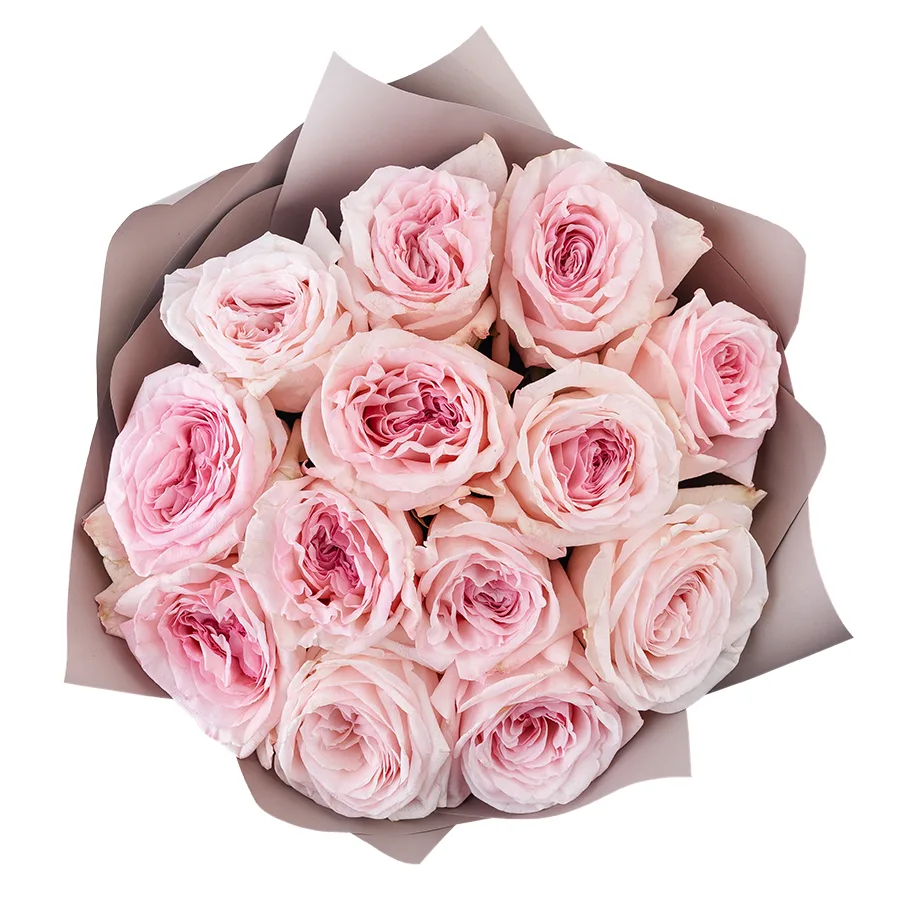 Букет из 13 ароматных розовых садовых роз Пинк О’Хара в упаковке (02795)
