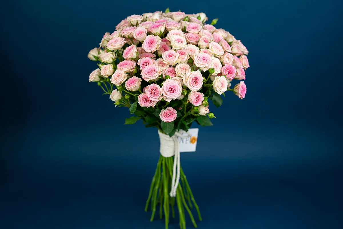 Букет из 23 розовых кустовых роз Креми Твистер (01646)