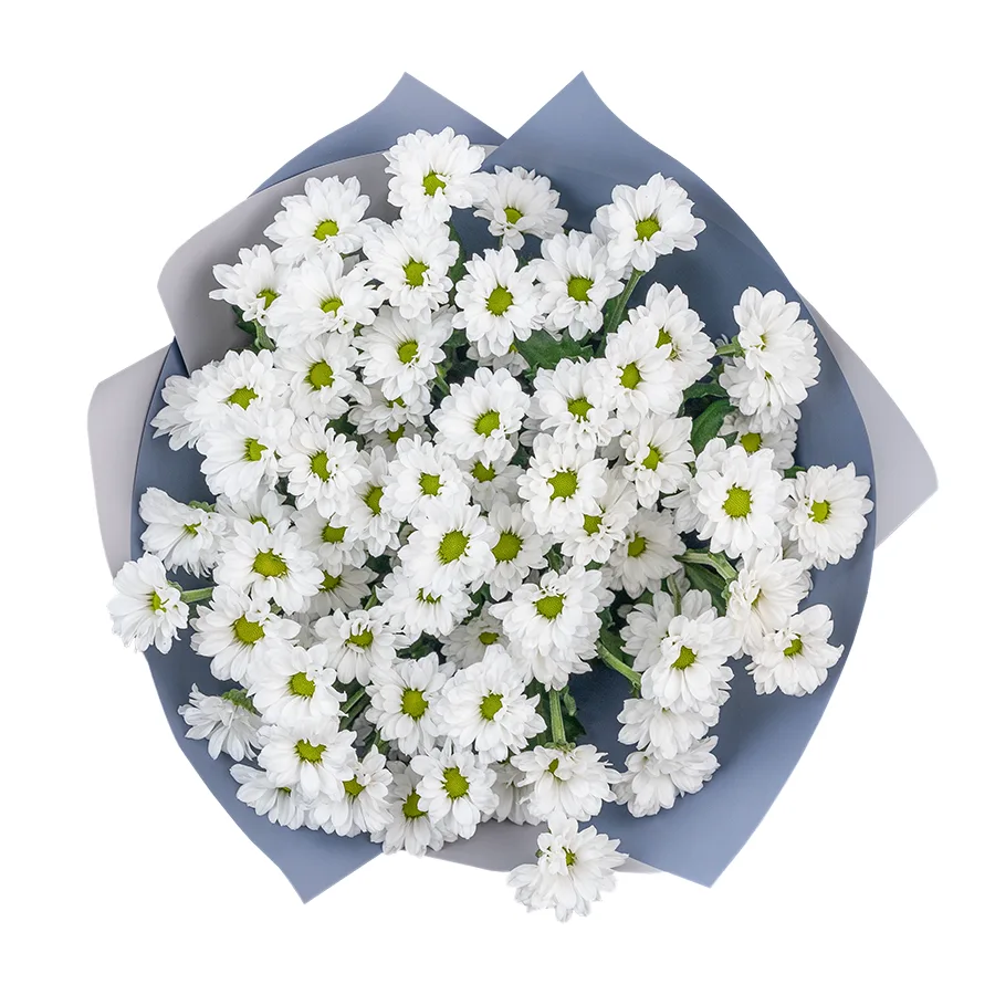 Букет из 9 белых кустовых хризантем Сантини Баунсер (02733)