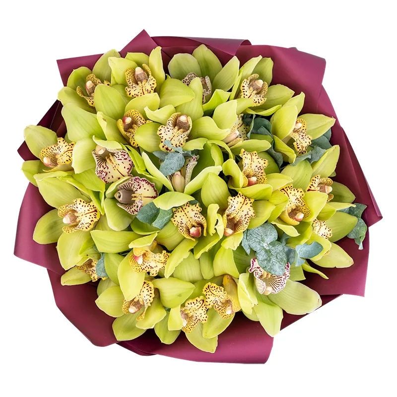 Букет из 25 зелёных орхидей Цимбидиум (01836)