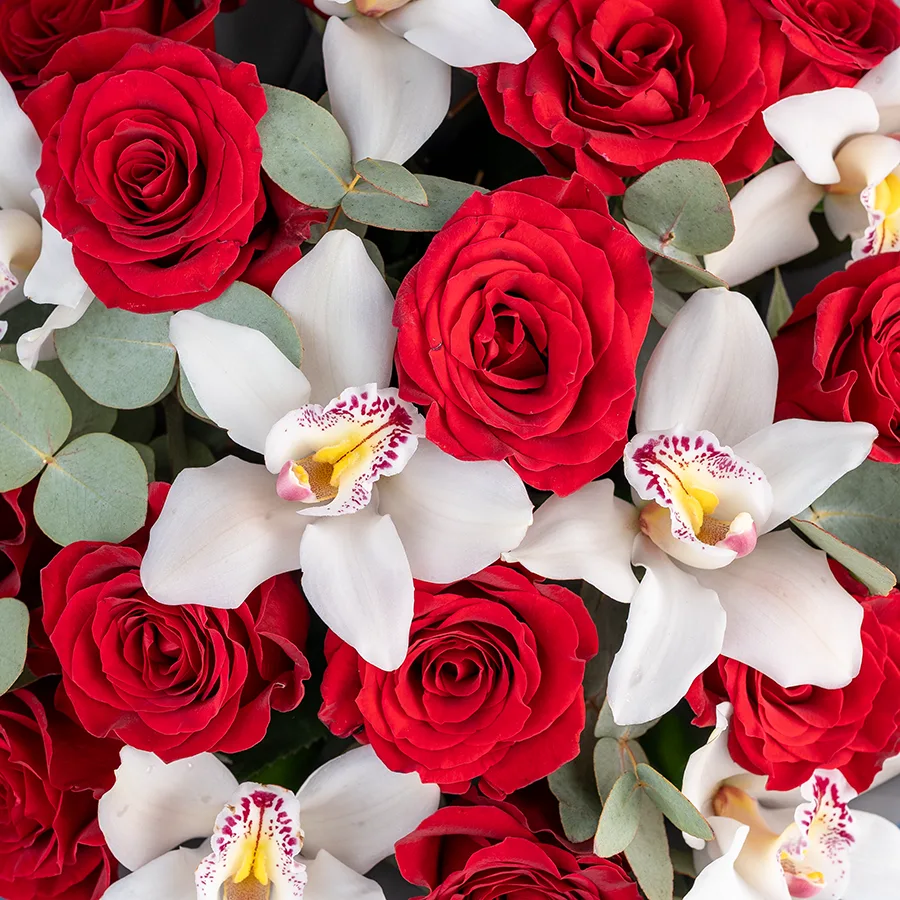 Букет из 21 цветка — красных роз Фридом и белых орхидей Цимбидиум (02471)