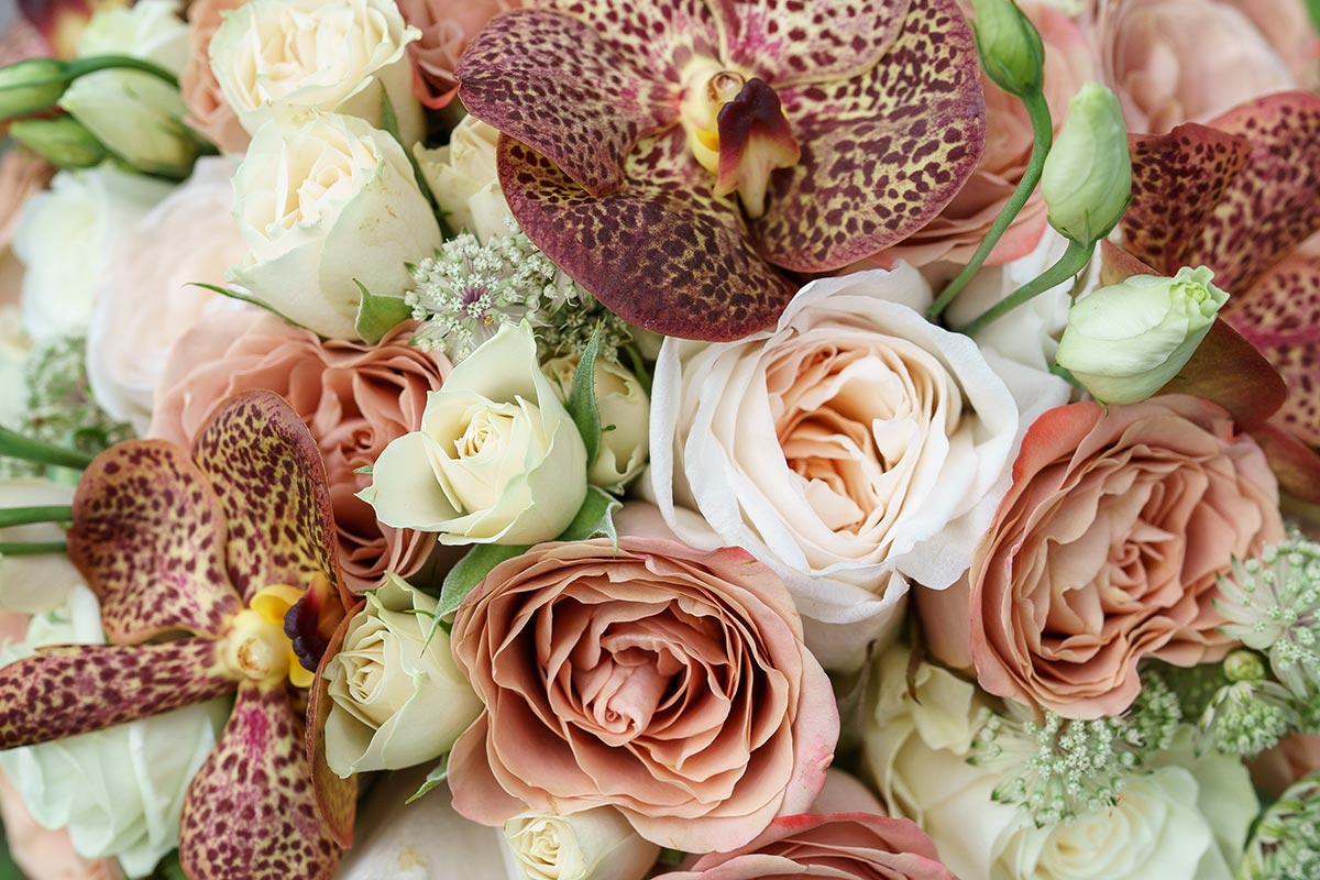 Букет невесты цвета капучино из роз, орхидей и эустом (00972)