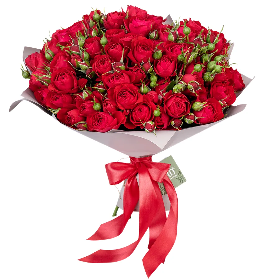 Букет из 17 ярко-красных кустовых пионовидных роз Скарлет Дименшн (02757)