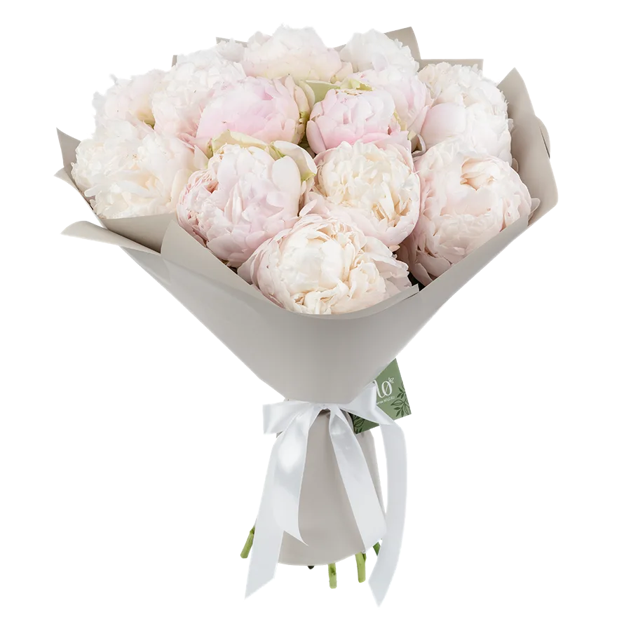Букет из 17 кремово-розовых пионов Мун овер Баррингтон (01917)