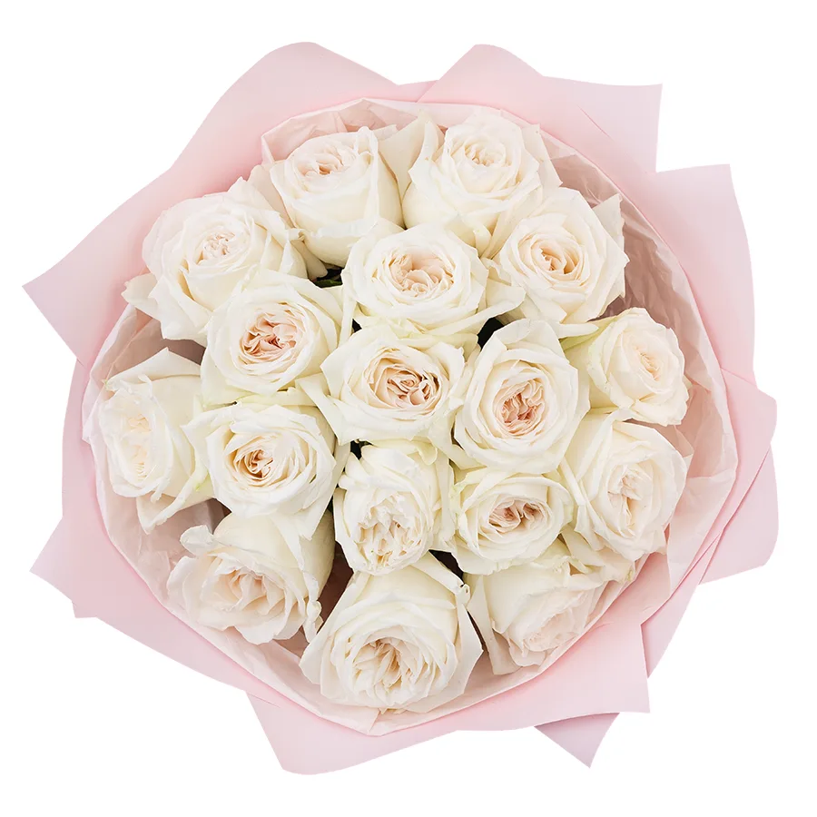 Букет из 17 ароматных белых садовых роз Вайт О’Хара в упаковке (02789)