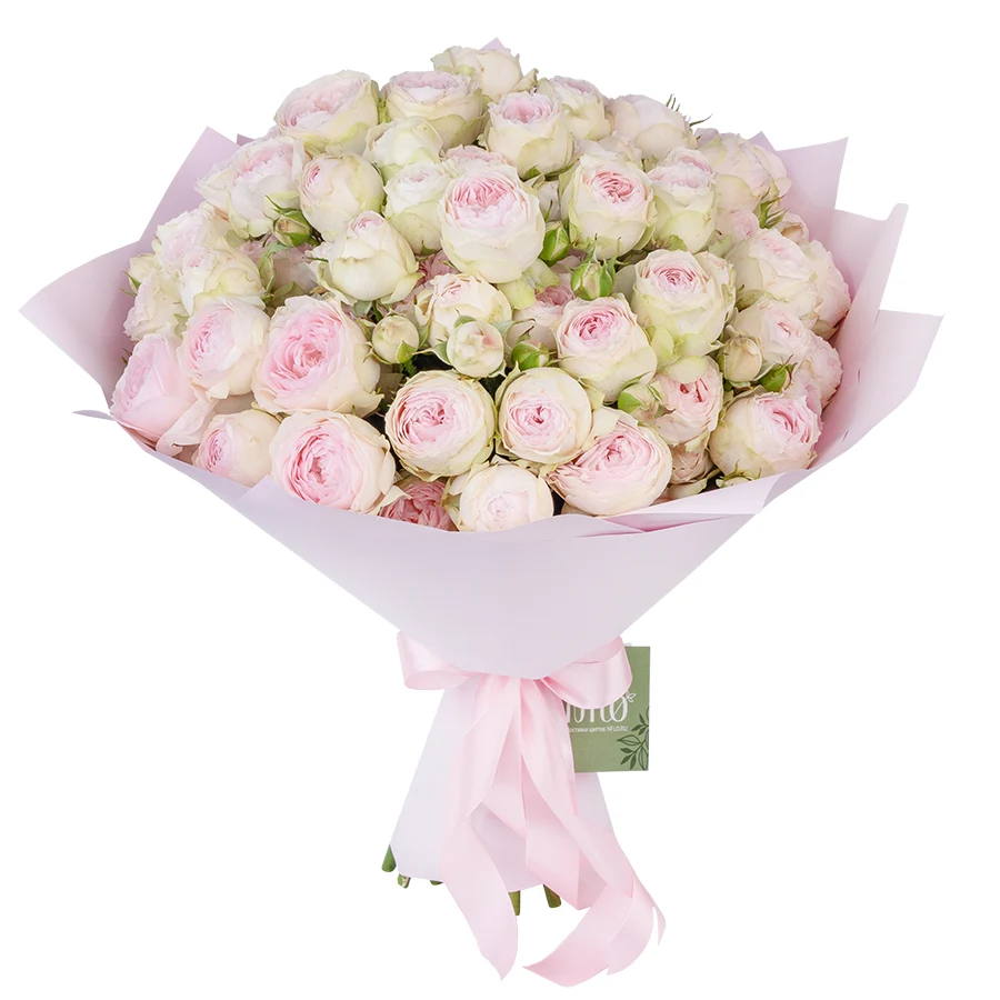 Букет из 19 нежно-розовых кустовых пионовидных роз Дедикейшн (02716)