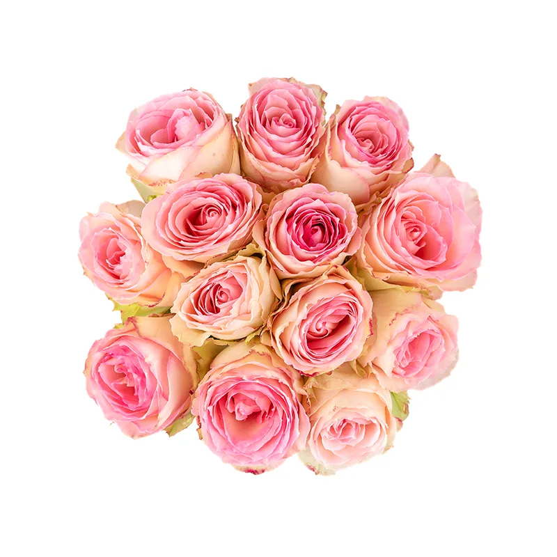 Букет из 13 розовых роз Эсперанс (01240)