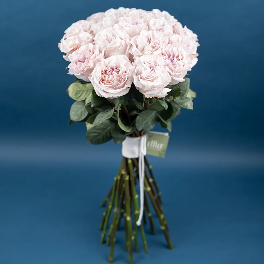 Букет из 21 садовой пыльно-сиреневой розы Паудер Пуф (03830)