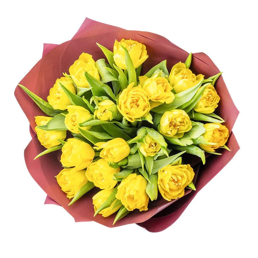 Букет из 21 желтого махрового тюльпана Хоумран (02289)