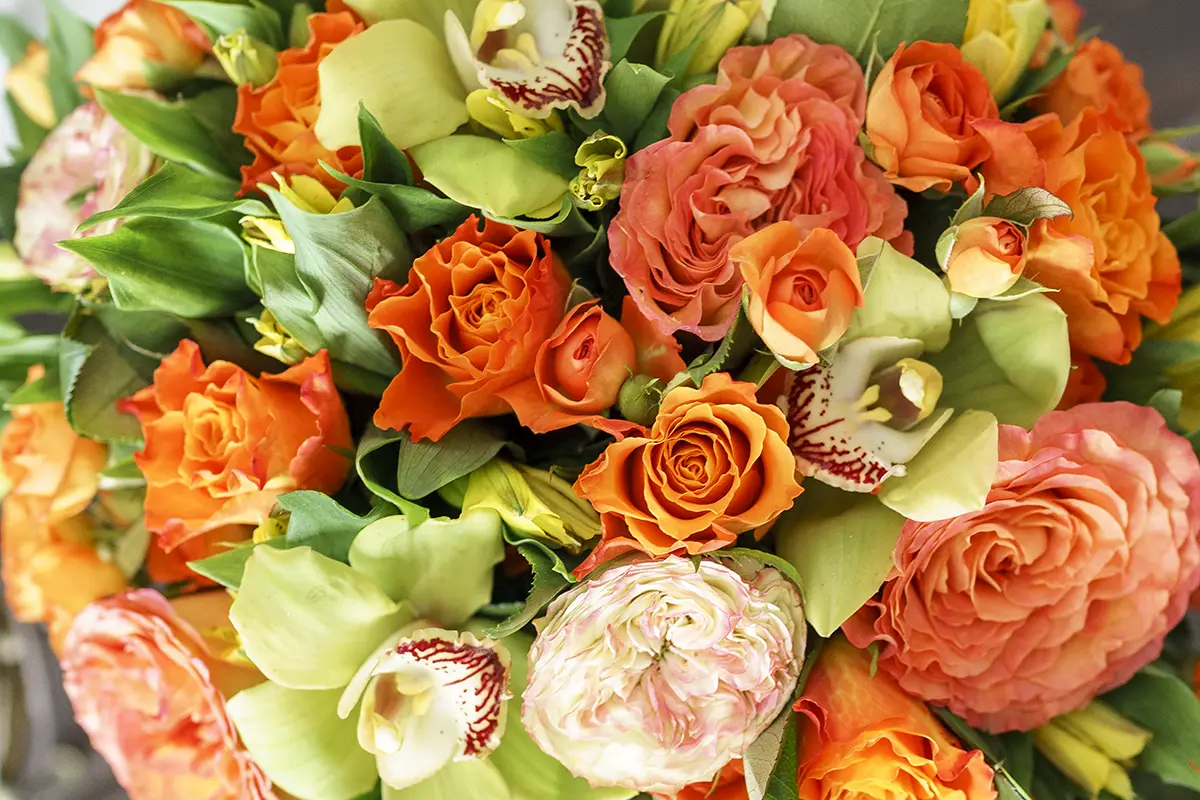 Букет из роз, орхидей, тюльпанов и альстромерий (00928)