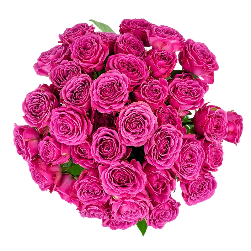 Букет из 15 малиновых кустовых роз Классик Сенсейшн (01353)