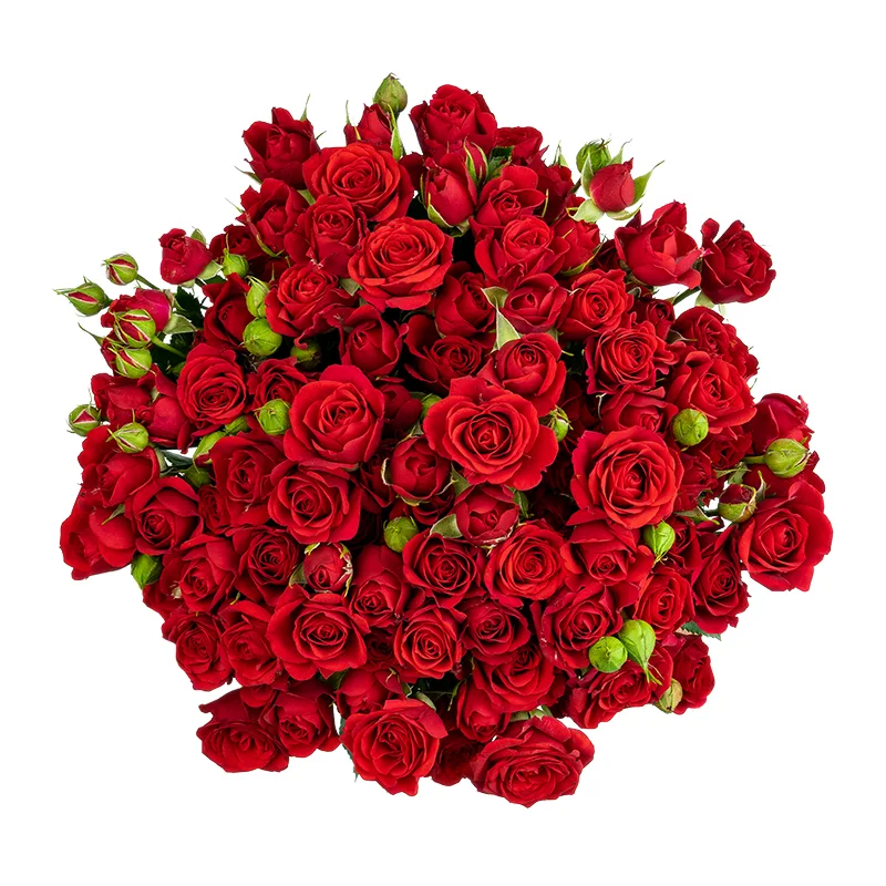 Букет из 21 красной кустовой розы Мирабель (01729)
