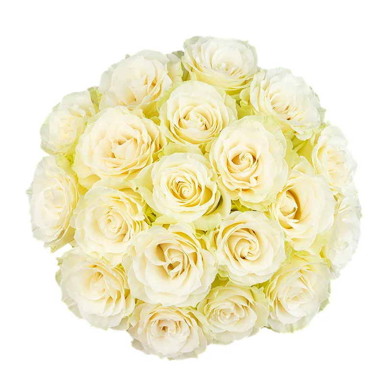 Букет из 19 белых роз Мондиаль (01600)