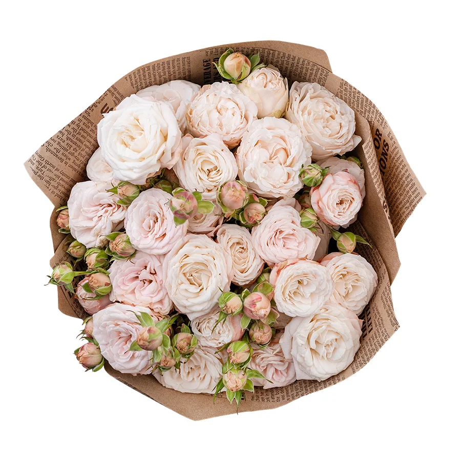 Букет из 5 нежно-розовых кустовых пионовидных роз Бомбастик 60 см (02934)