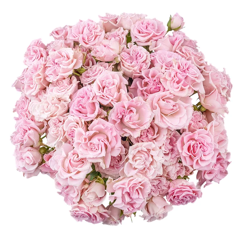 Букет из 27 розовых кустовых роз Свит Флоу (02112)
