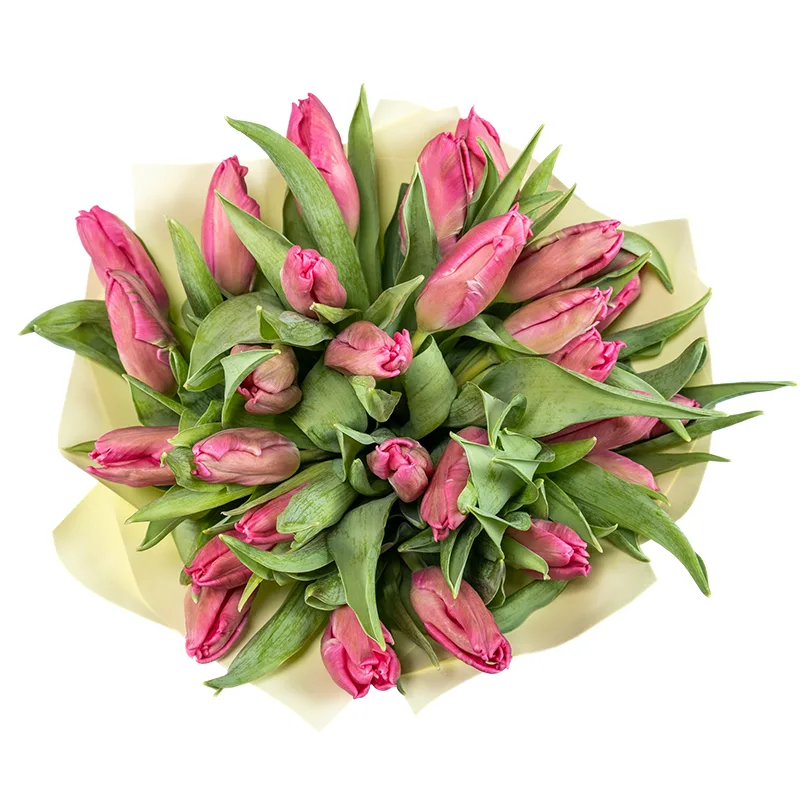 Букет из 27 розовых попугайных тюльпанов Марвел Пэррот (02065)