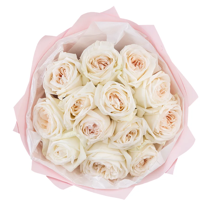 Букет из 13 ароматных белых садовых роз Вайт О’Хара в упаковке (01283)