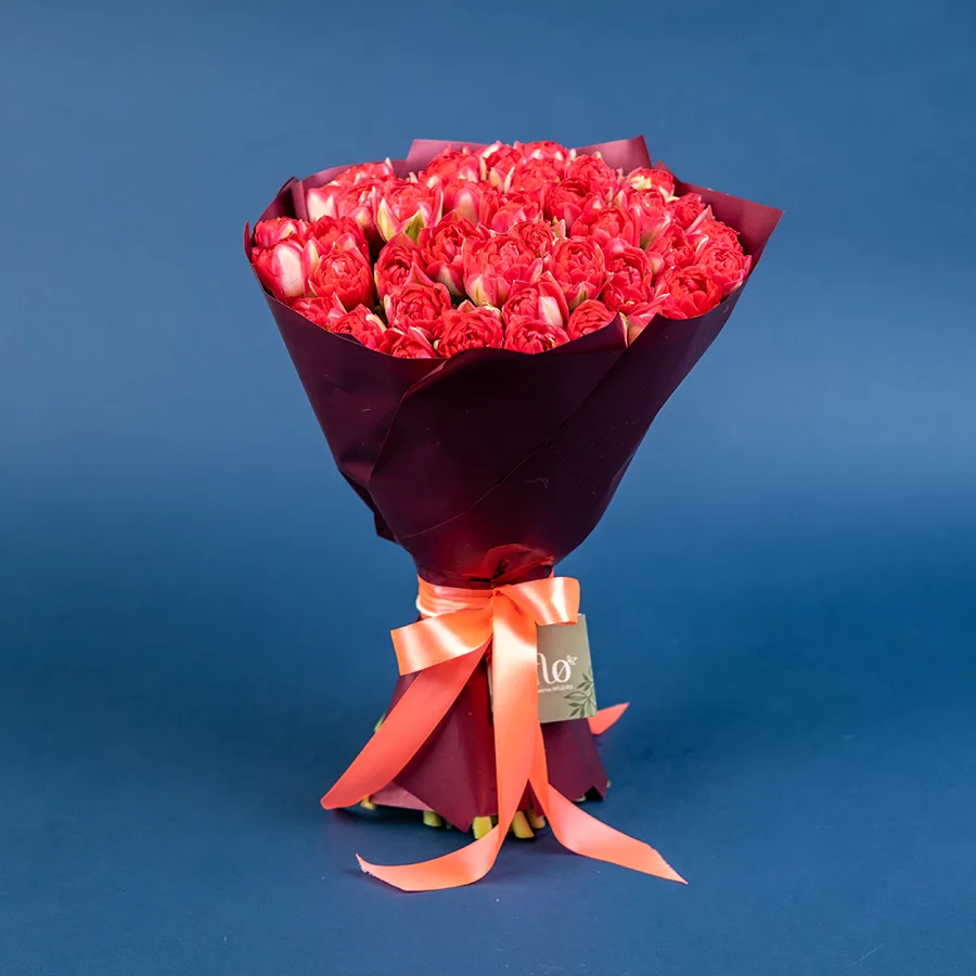 Букет из 45 красных махровых тюльпанов Памплона (02397)