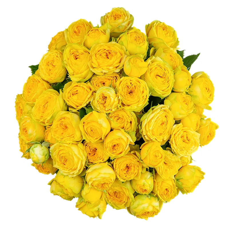 Букет из 23 жёлтых кустовых пионовидных роз Луна Трендсеттер (01698)