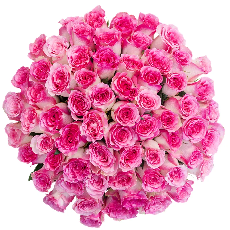 Букет из 65 бело-розовых роз Малибу (00421)