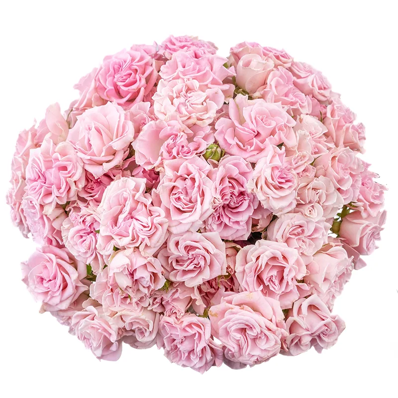 Букет из 23 розовых кустовых роз Свит Флоу (02114)