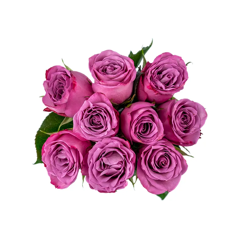 Букет из 9 фиолетовых роз Муди Блюз (01215)