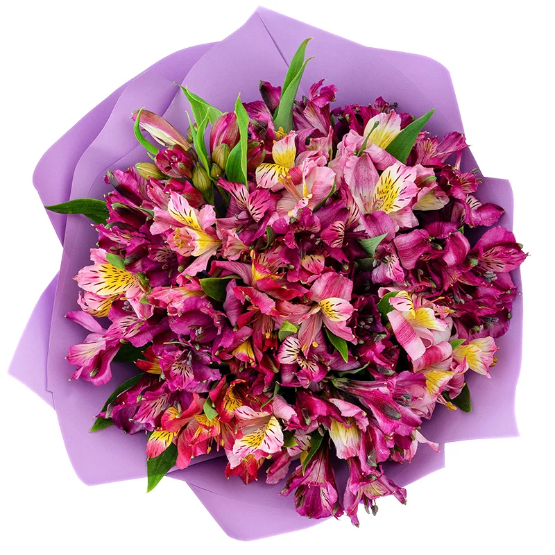 Букет из 21 фиолетовой, малиновой и розовой альстромерии (01454)